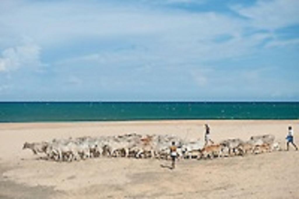 Zimbay Guest House Arugam Bay Zewnętrze zdjęcie